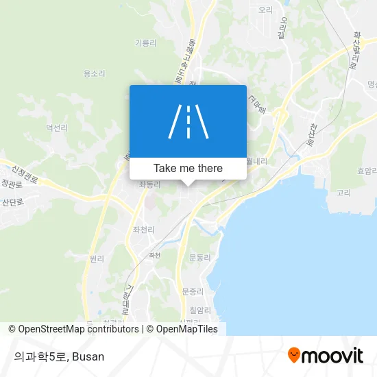 의과학5로 map