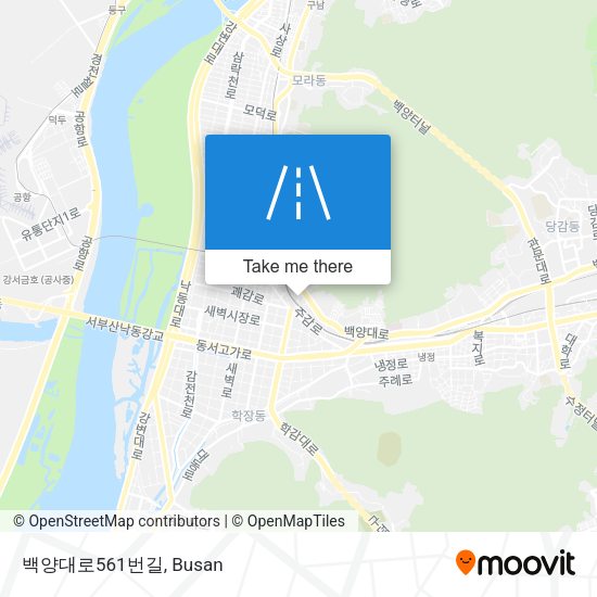 백양대로561번길 map