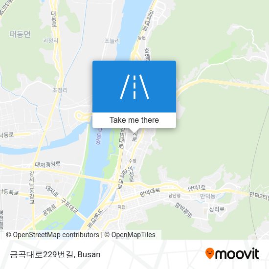 금곡대로229번길 map