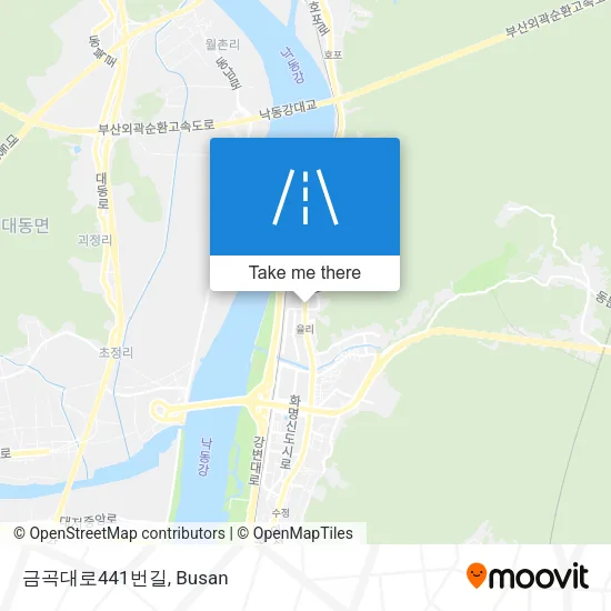 금곡대로441번길 map