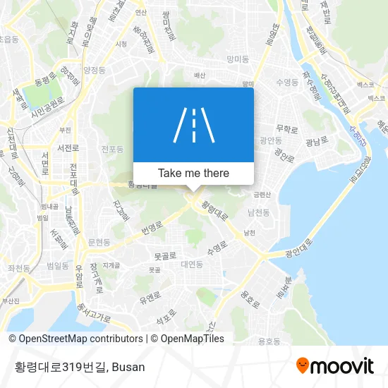 황령대로319번길 map