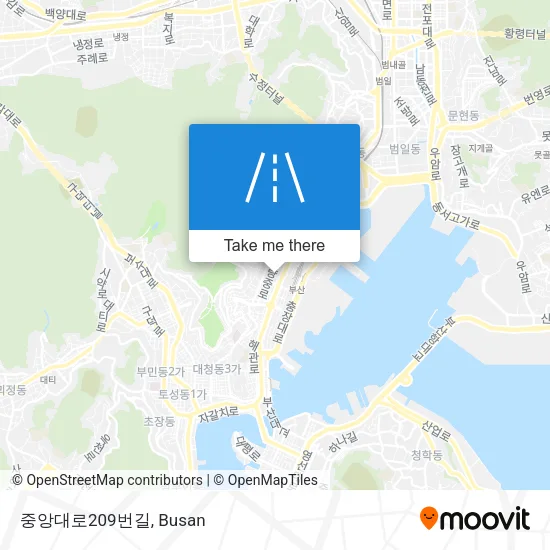 중앙대로209번길 map