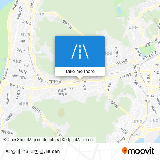 백양대로313번길 map