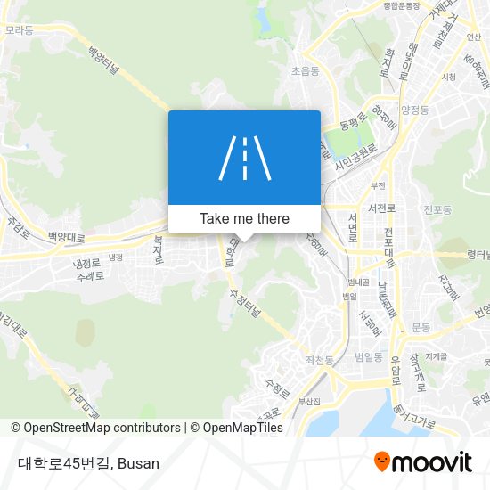 대학로45번길 map