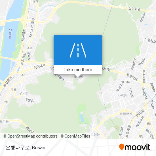 은행나무로 map