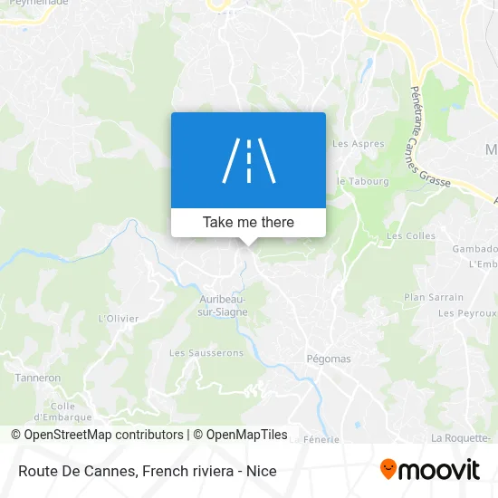 Route De Cannes map