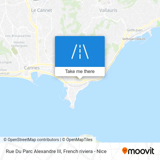 Rue Du Parc Alexandre III map