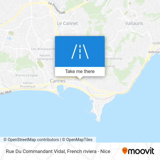 Mapa Rue Du Commandant Vidal