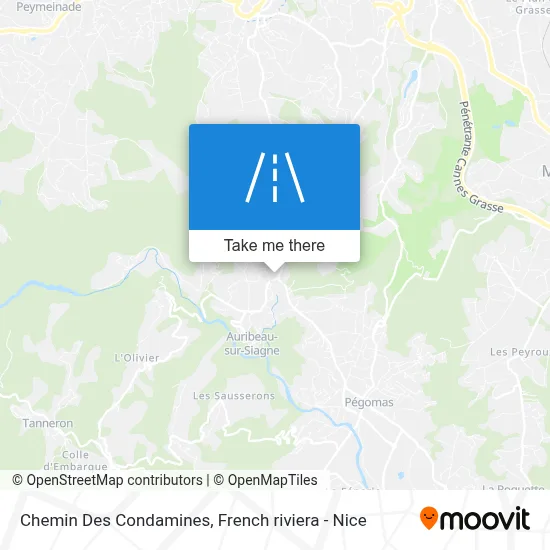 Chemin Des Condamines map