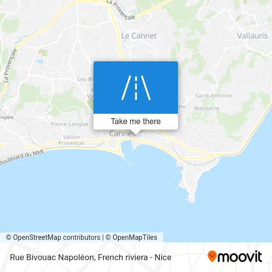 Rue Bivouac Napoléon map