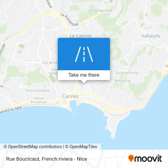 Rue Boucicaut map