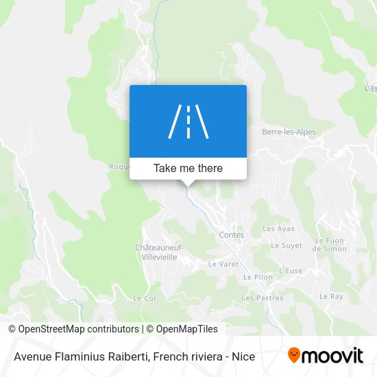 Avenue Flaminius Raiberti map