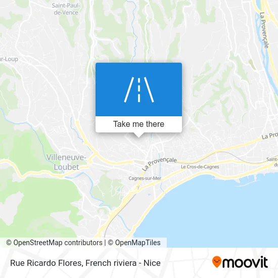 Rue Ricardo Flores map