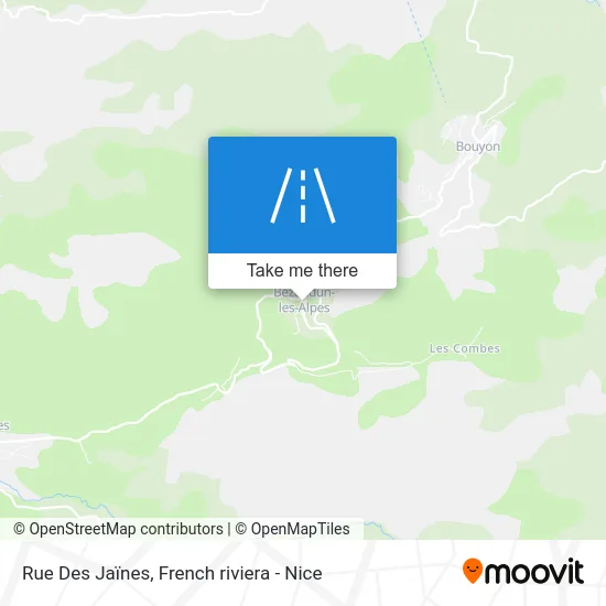 Rue Des Jaïnes map