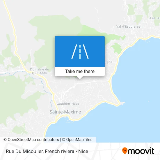 Rue Du Micoulier map