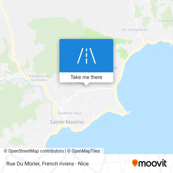Rue Du Mûrier map