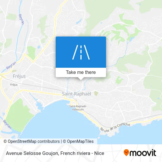 Avenue Selosse Goujon map
