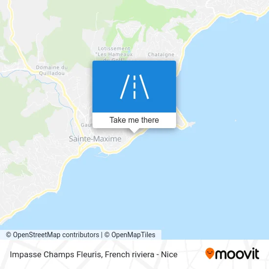Impasse Champs Fleuris map