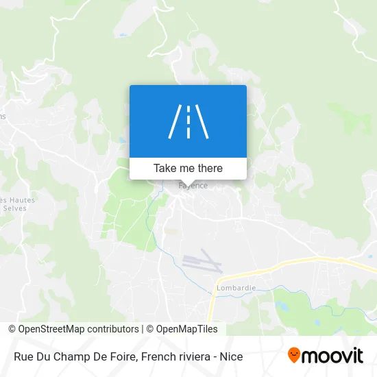 Rue Du Champ De Foire map