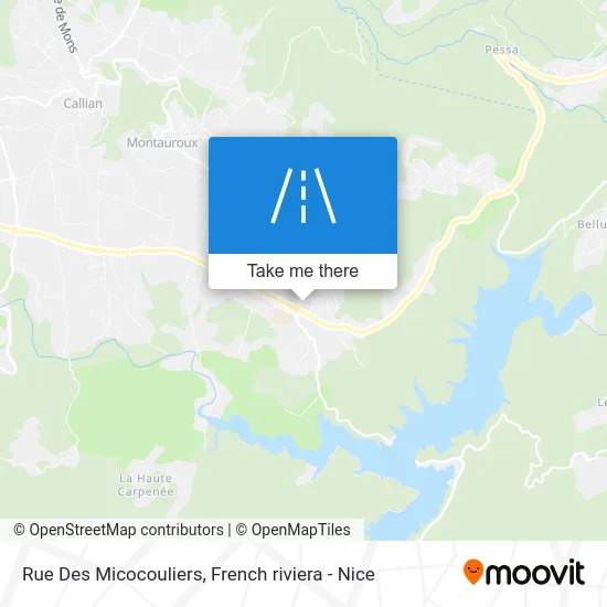 Rue Des Micocouliers map