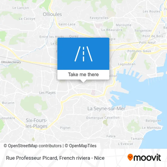 Mapa Rue Professeur Picard