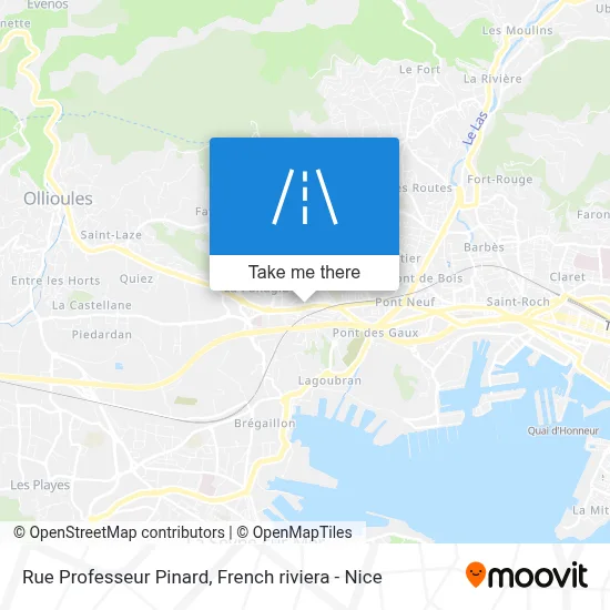 Mapa Rue Professeur Pinard