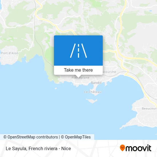 Le Sayula map