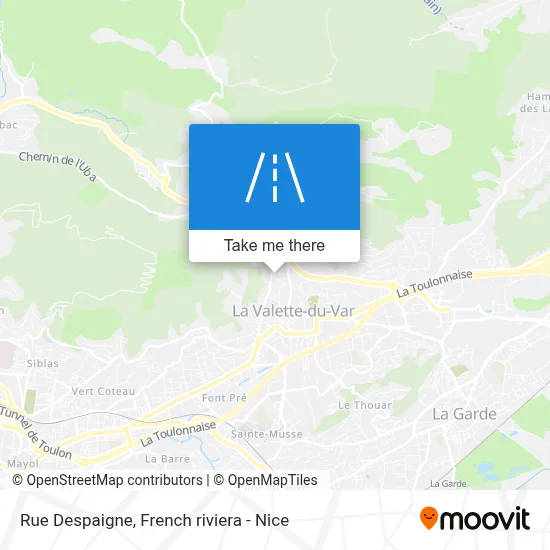Rue Despaigne map