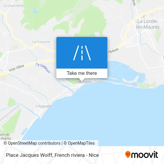 Place Jacques Wolff map