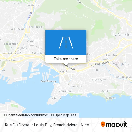 Rue Du Docteur Louis Puy map