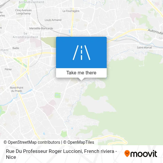 Rue Du Professeur Roger Luccioni map