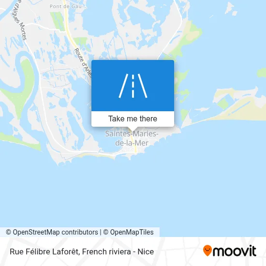 Rue Félibre Laforêt map