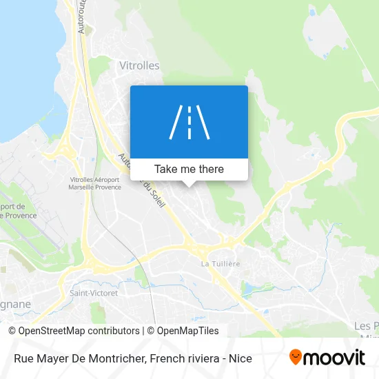 Rue Mayer De Montricher map