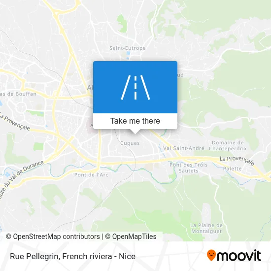Mapa Rue Pellegrin