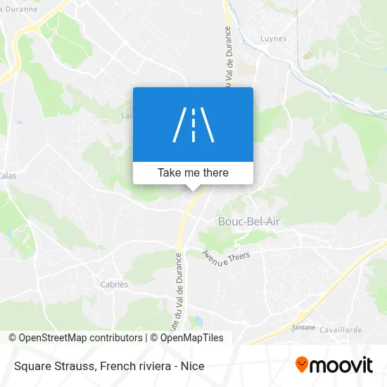 Square Strauss map