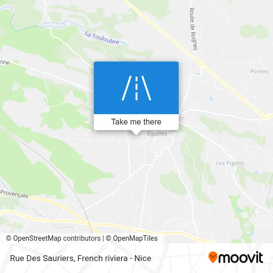 Rue Des Sauriers map