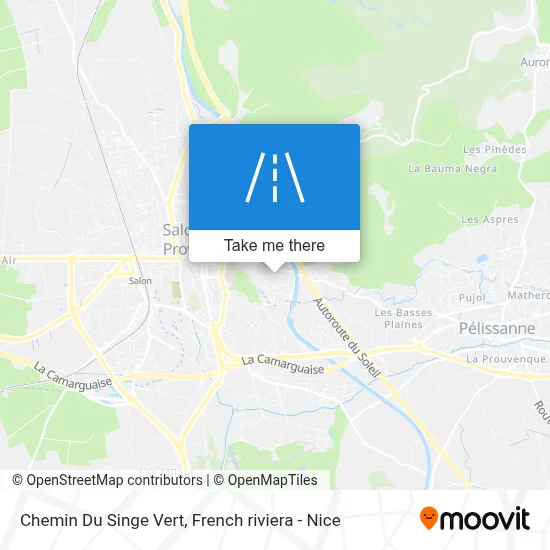 Chemin Du Singe Vert map
