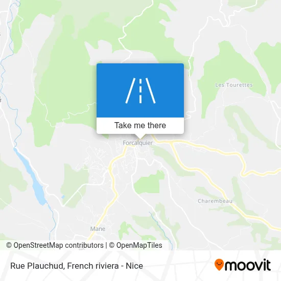 Mapa Rue Plauchud