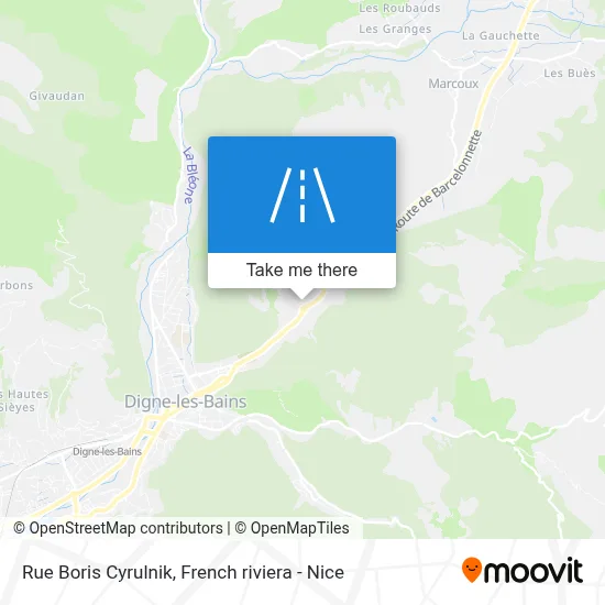 Rue Boris Cyrulnik map