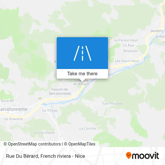 Rue Du Bérard map