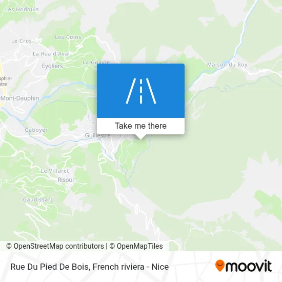 Rue Du Pied De Bois map