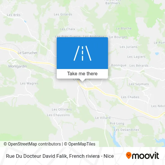 Rue Du Docteur David Falik map