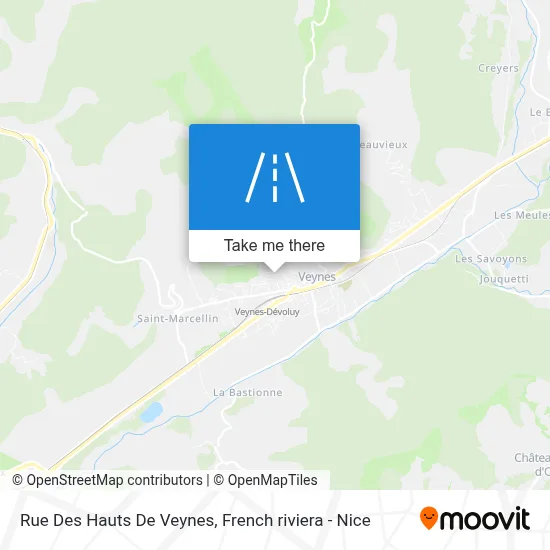 Rue Des Hauts De Veynes map