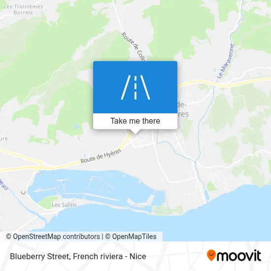 Rue Des Bleuets map