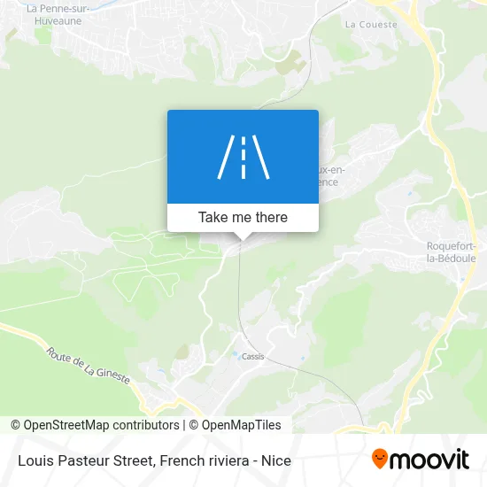 Mapa Rue Louis Pasteur