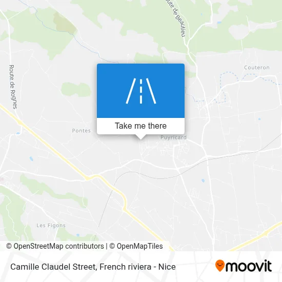 Rue Camille Claudel map