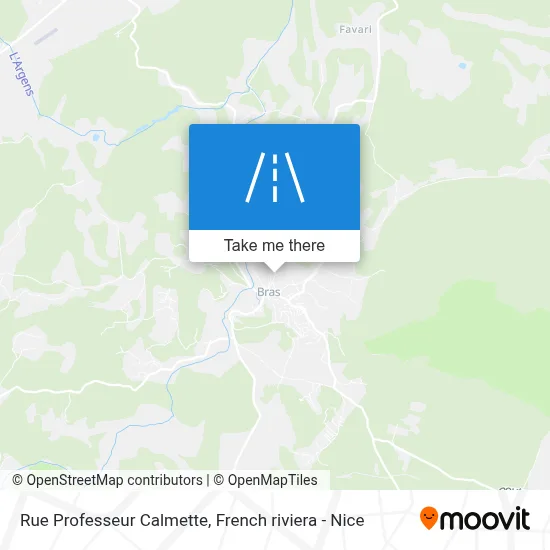 Mapa Rue Professeur Calmette