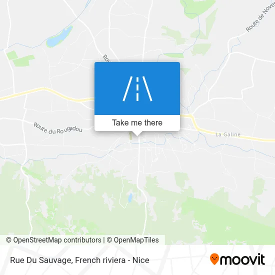Rue Du Sauvage map