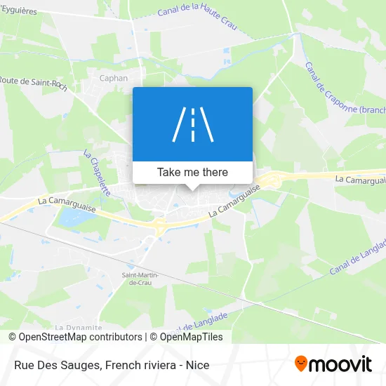 Rue Des Sauges map