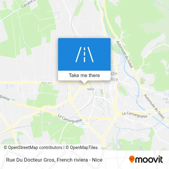 Rue Du Docteur Gros map